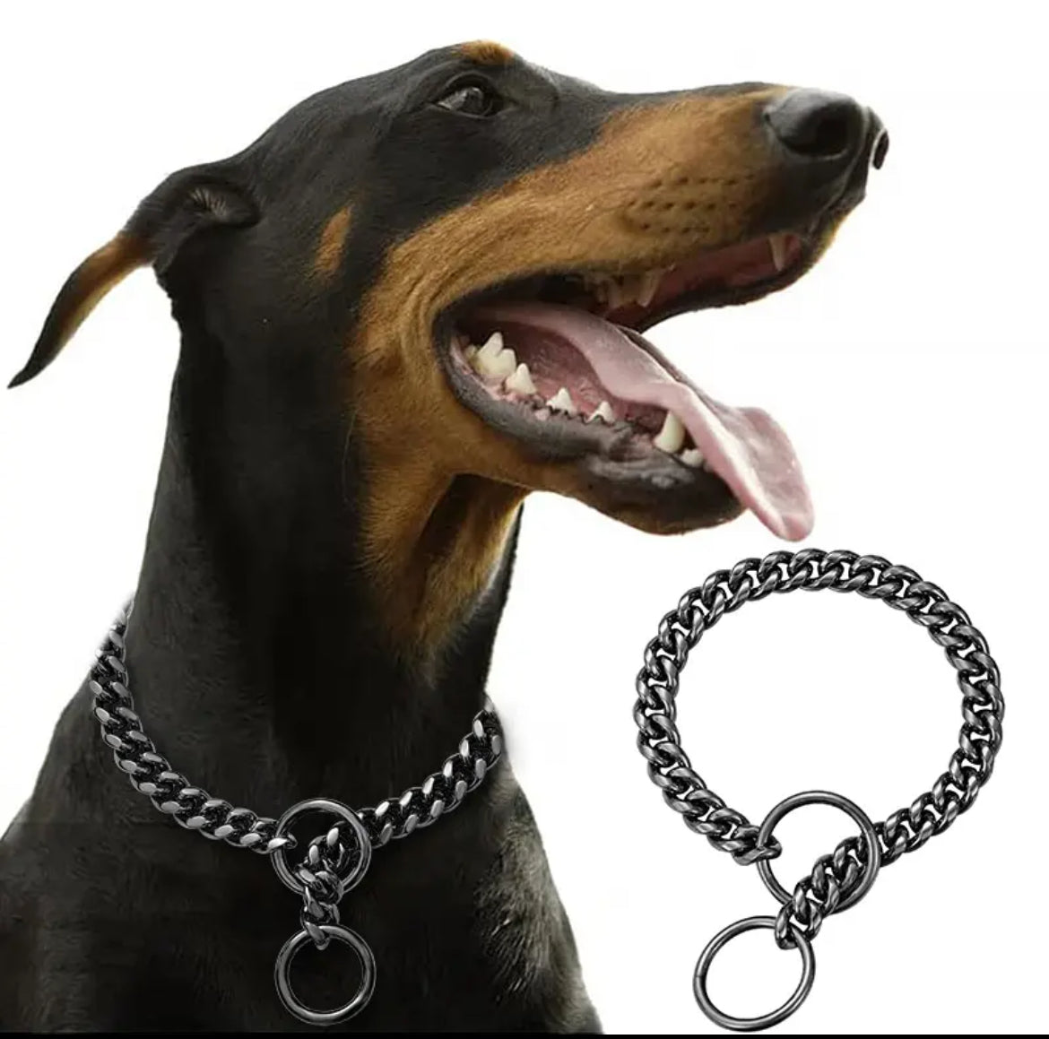 Collar Bling Bling para Perros