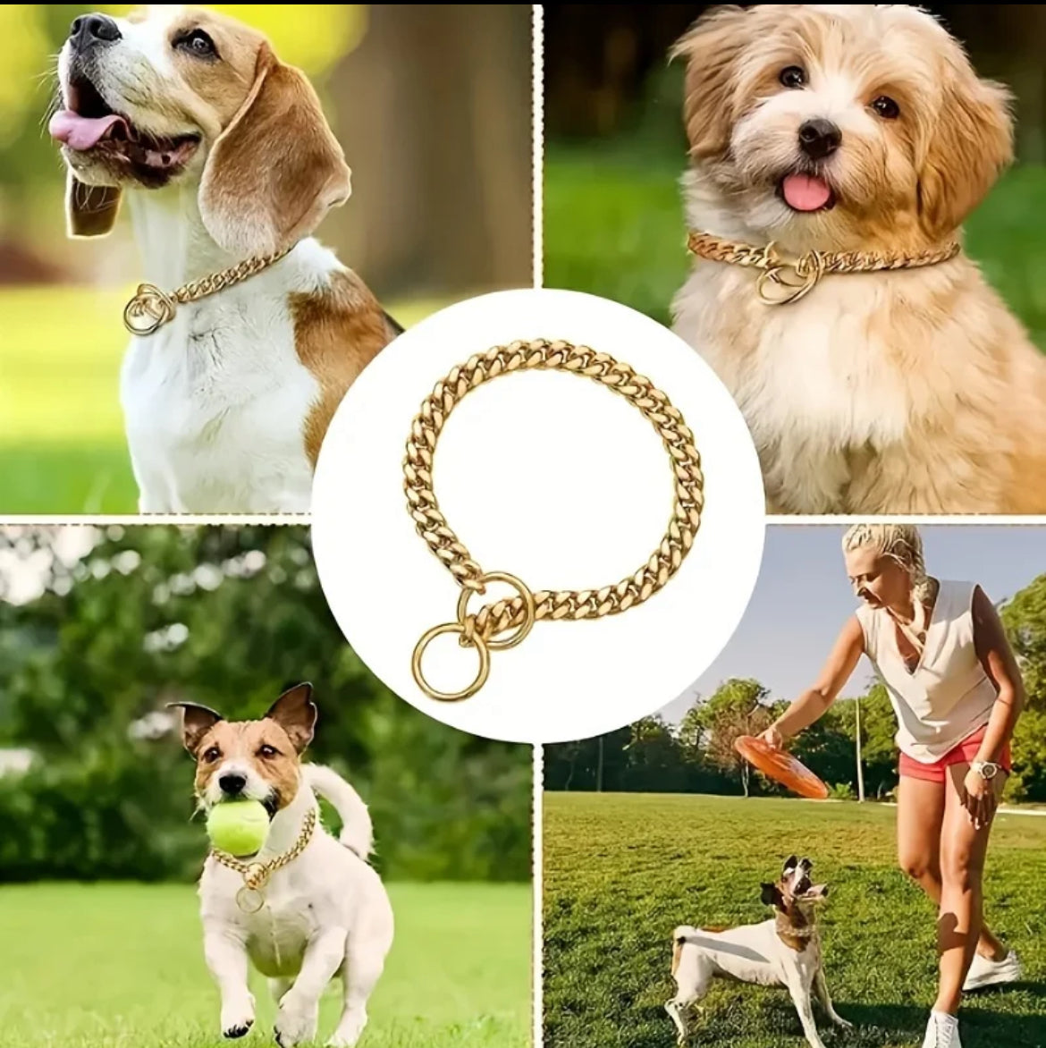 Collar Bling Bling para Perros