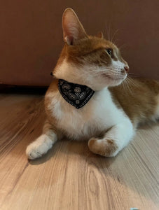 Collar Ajustable Bandana para gato