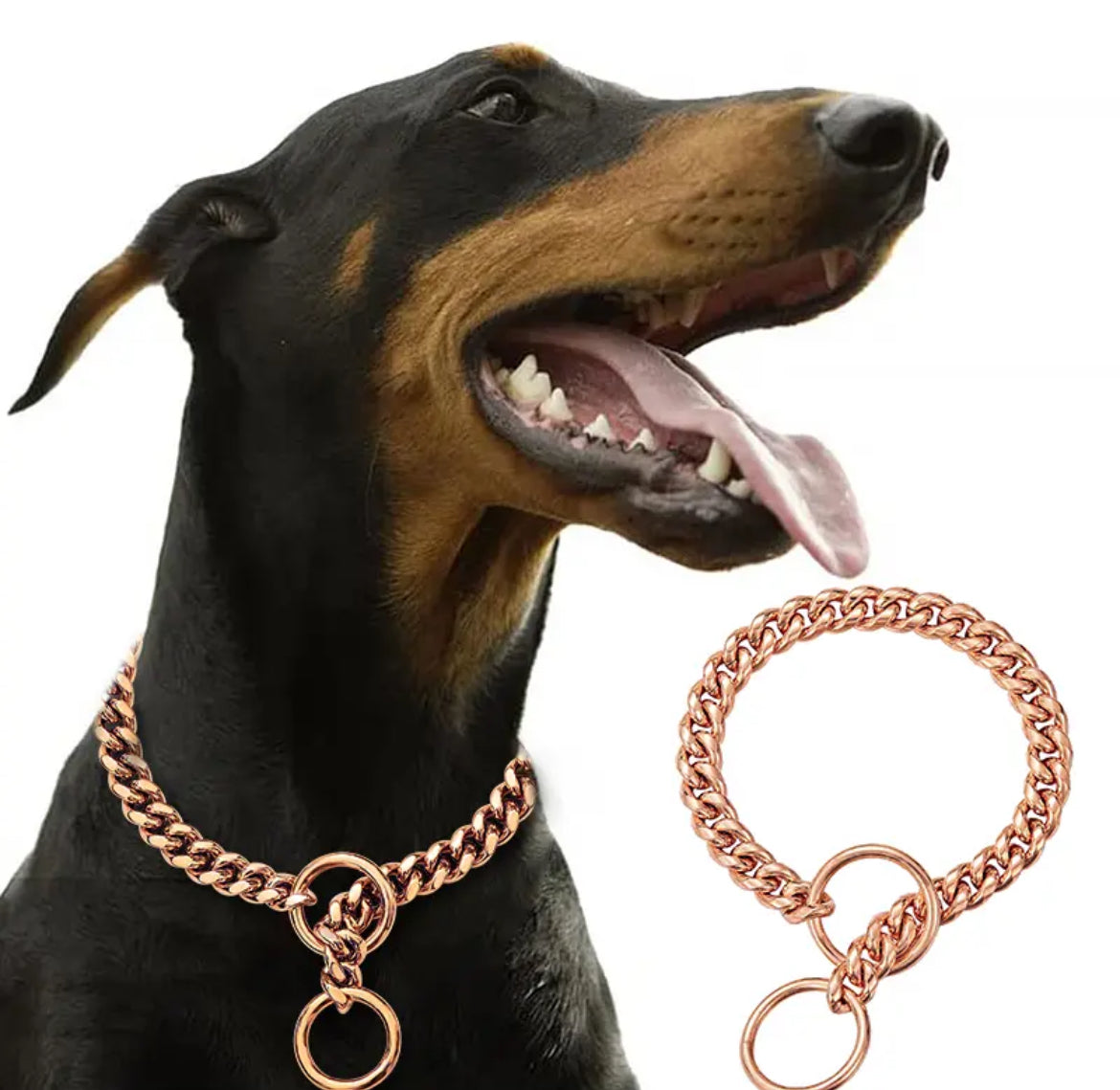 Collar Bling Bling para Perros